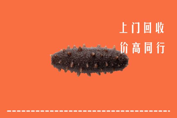高价求购：营口老边回收海参