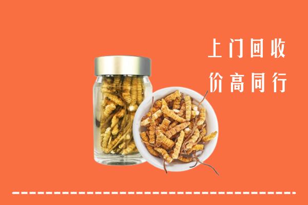营口老边回收冬虫夏草