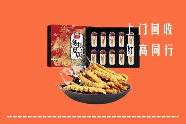 营口老边回收虫草